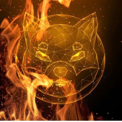 Rgbedol's profile picture. Shiba is the future, it’s obvious