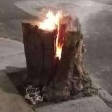 Roguitto1's profile picture. 