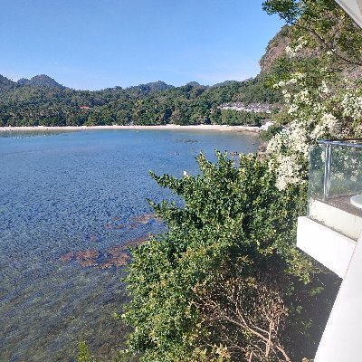 yaaaaannnnn05's profile picture. 