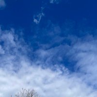 museum der letzten dinge™ (@barcelonalien) 's Twitter Profile