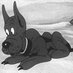 Buster Dawg (@bustedowg) Twitter profile photo Buster Dawg (@bustedowg) Twitter profile photo