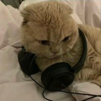 nate (@nate_val_) 's Twitter Profile