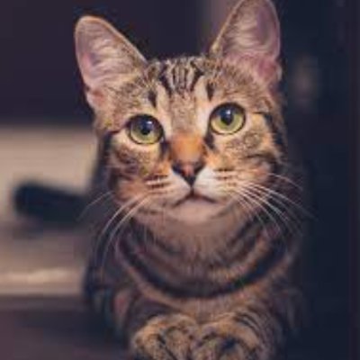 hnansna's profile picture. 