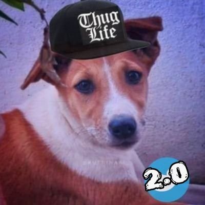 Backup ID | Main ID @KuttyNaai_ |
சேட்டபுடிச்ச குட்டிநாய்..🐕
கோவம் வந்தா கடிச்சி வெப்பேன்..ஆனா பாசத்தில No.1 💯😁
Official ID ❤️🐶