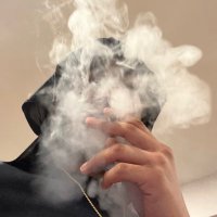 Skino (@vondagemini) 's Twitter Profile