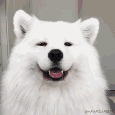 Sparkli46497945's profile picture. 