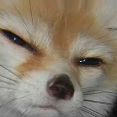 erkendokha Profile Picture