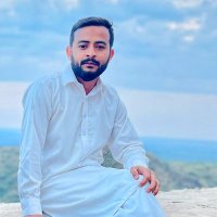 دلوں کا وزیراعظم نواز شریف(@Maliksa11147061) 's Twitter Profile Photo