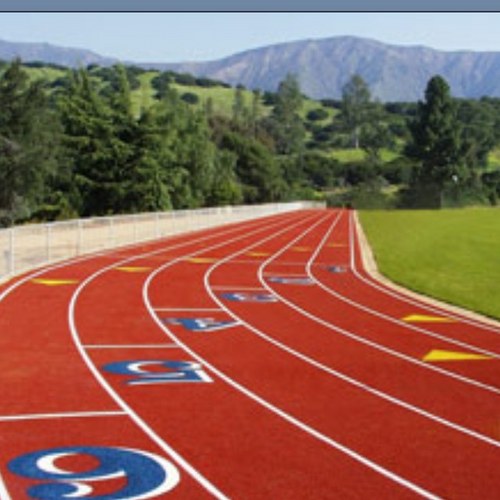 Trackgirlprobss's profile picture. 