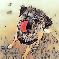 Smiffy the dog OBE(@smiffytheBT) 's Twitter Profile Photo