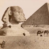 包养 包养学生 北京包养 上海包养 广州包养 深圳包养 金主爸爸 (@realtimehistry) 's Twitter Profile