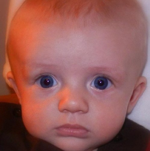 landonjpierce's profile picture. This is the official twitter of Landon Pierce, son of Josh & Brooke Pierce. Since I was born on August 3, 2011, my dad will tweet for me. :)