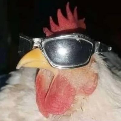 HEAD_KUN123's profile picture. 