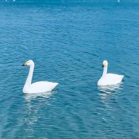 Von (@coo65353) 's Twitter Profile Photo