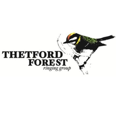 Bird Research and monitoring in Thetford Forest through ringing, nest recording and surveys; in collaboration with @_BTO and @ForestryEngland.