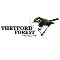 Thetford Forest Ringing Group(@ThetfordFor_RG) 's Twitter Profile Photo