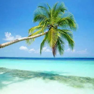 onesupergun's profile picture. iphone game developer