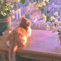 Etkinlik 🐞 (@laboratuvaricin) 's Twitter Profile Photo