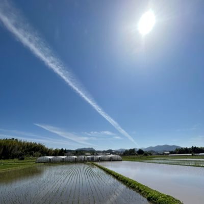 abasyIXVDXc3f7G's profile picture. 春から宮崎大農学部植物 山口→宮崎