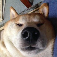 pompoco (@pompoco13) 's Twitter Profile Photo pompoco (@pompoco13) 's Twitter Profile Photo