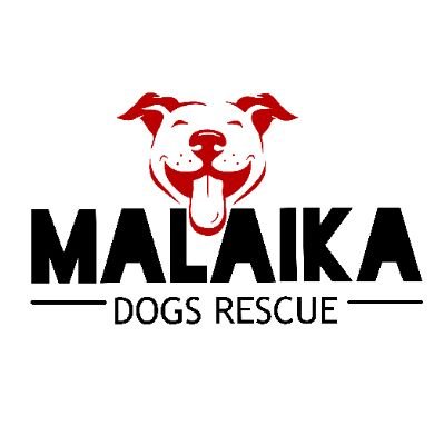 ➡️Rescuing poor Dogs🐶
➡️Save African Dogs🐕
➡️Non profitable small organization which helps homeless dogs to provide them with shelter for better life