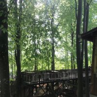 Kübra (@kbra02335593193) Twitter profile photo