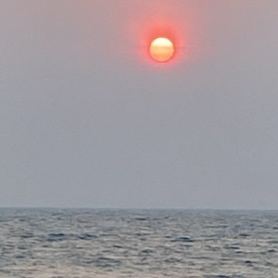 decth48's profile picture. 