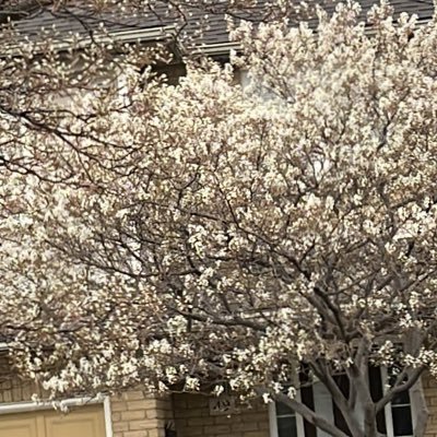 NatachaRamosV's profile picture. 