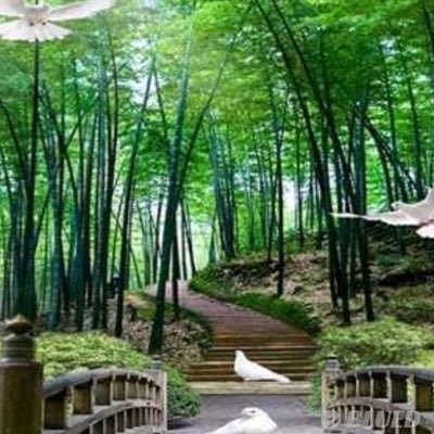 BaoAnh02160433's profile picture. 54 tuổi an toàn sạch https://t.co/W2gHwjE9okốn tìm bạn trai tuổi từ 18-40 thích béo không thích ẻo lả