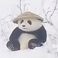 Minht (@thedamnpham) 's Twitter Profile