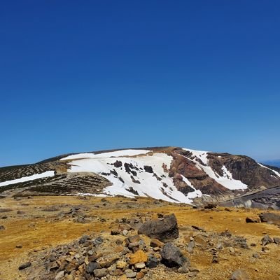 yata5244's profile picture. 