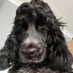 lynne macintyre (@lynnemacin25520) Twitter profile photo lynne macintyre (@lynnemacin25520) Twitter profile photo