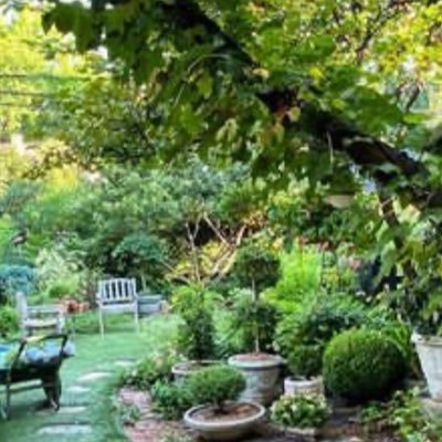 perpetualitati1's profile picture. 