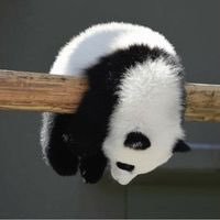 thinkaboutwen's profile picture. 