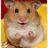 herohamster's profile image