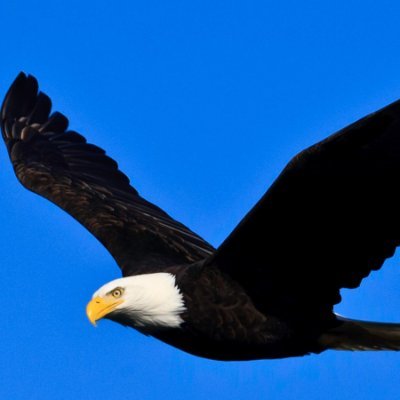 Politics, history, international relations, foreign policy and affairs, economy, geopolitics, entrepreneur, strategy.