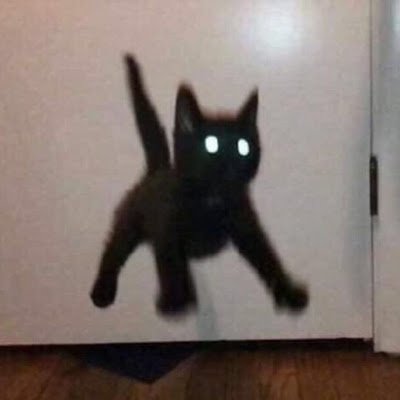 dzhng771312521's profile picture. 愿你逃离世界的平凡和情爱的庸俗