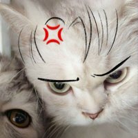 mix ❤️🩹 (@_hanabeee) 's Twitter Profile