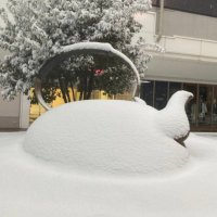 あるます (@yryr3high) 's Twitter Profile