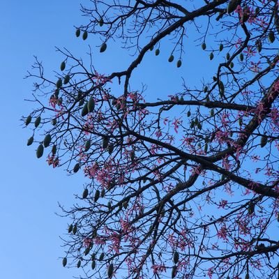 Ladelbarrio82's profile picture. 