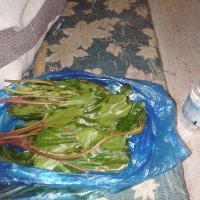 عبدالله علي (@bdllhly75887387) Twitter profile photo