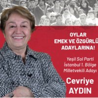 cevriye aydın(@aydncvry) 's Twitter Profile Photo