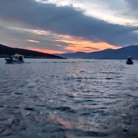 ozgur (@adaozgurce) 's Twitter Profile