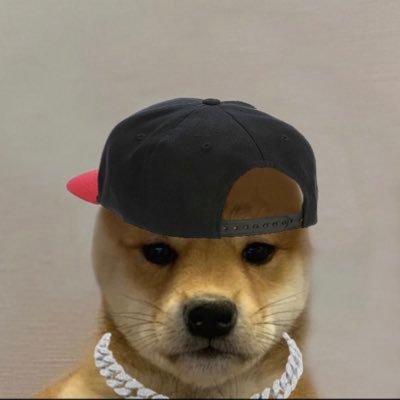 adamzpolin's profile picture. 