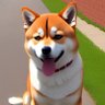 Lucas_1910's profile picture. 