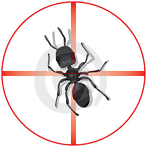 First Inspection Termite & Pest Management is our professional termite inspection company serving the general public for over 25 years.