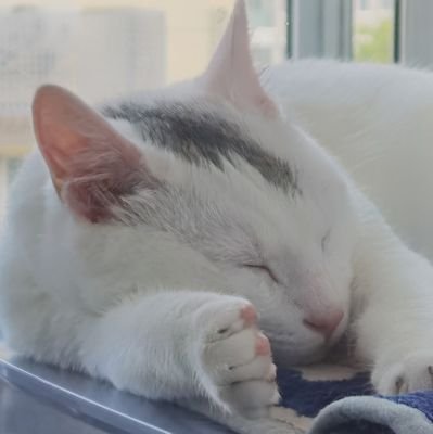 _LMSH7_'s profile picture. 