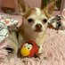 Patrick Marcus (@patrick58670921) Twitter profile photo Patrick Marcus (@patrick58670921) Twitter profile photo