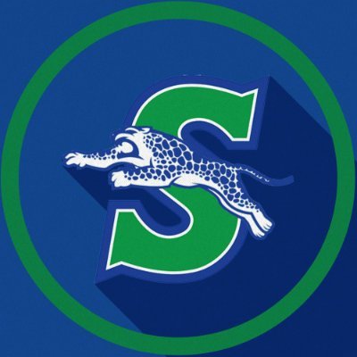 Blue Springs South Jaguars Profile