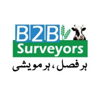 B2B Surveyors(@B2BSurveyors) 's Twitter Profile Photo